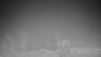 Chata Myslivna SKP Olomouc