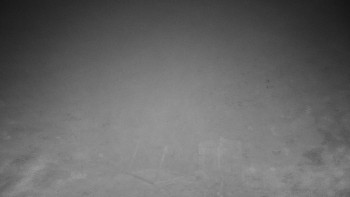 Chata Myslivna SKP Olomouc