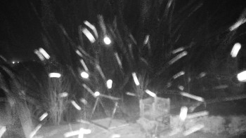 Chata Myslivna SKP Olomouc