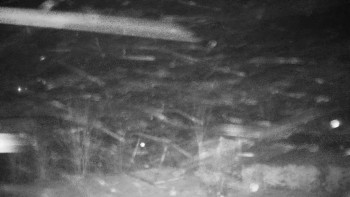 Chata Myslivna SKP Olomouc