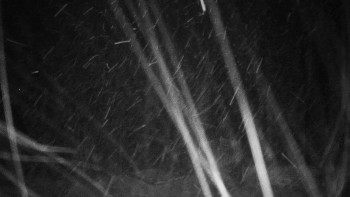 Chata Myslivna SKP Olomouc