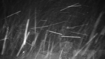 Chata Myslivna SKP Olomouc