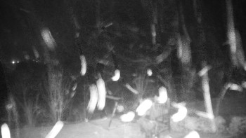 Chata Myslivna SKP Olomouc