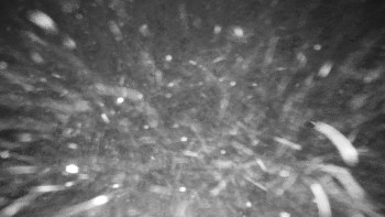 Chata Myslivna SKP Olomouc