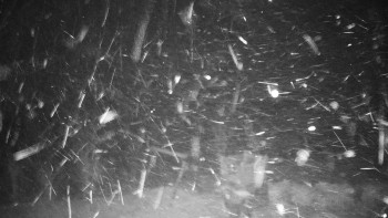 Chata Myslivna SKP Olomouc