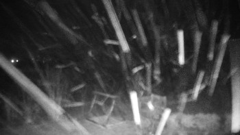 Chata Myslivna SKP Olomouc