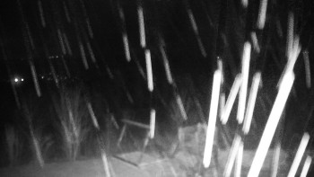 Chata Myslivna SKP Olomouc