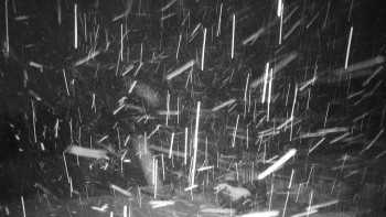 Chata Myslivna SKP Olomouc