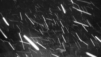 Chata Myslivna SKP Olomouc