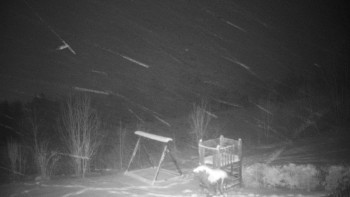 Chata Myslivna SKP Olomouc