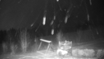 Chata Myslivna SKP Olomouc