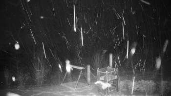 Chata Myslivna SKP Olomouc