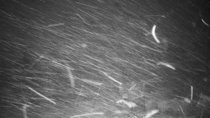 Chata Myslivna SKP Olomouc - Pohled do krajiny - 2.1.2026 v 04:30