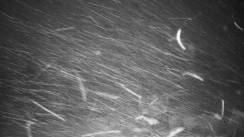 Chata Myslivna SKP Olomouc