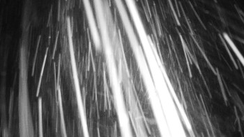 Chata Myslivna SKP Olomouc