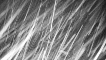 Chata Myslivna SKP Olomouc