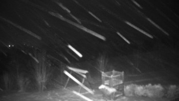 Chata Myslivna SKP Olomouc