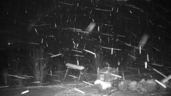 Chata Myslivna SKP Olomouc