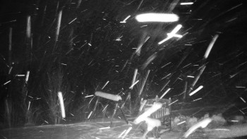 Chata Myslivna SKP Olomouc