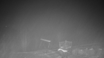 Chata Myslivna SKP Olomouc