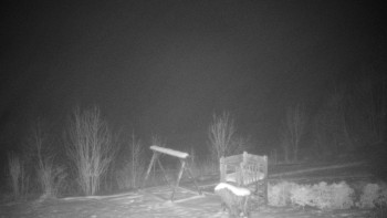 Chata Myslivna SKP Olomouc