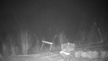 Chata Myslivna SKP Olomouc