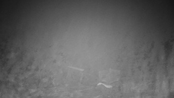 Chata Myslivna SKP Olomouc