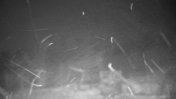 Chata Myslivna SKP Olomouc