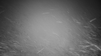 Chata Myslivna SKP Olomouc