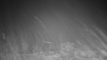 Chata Myslivna SKP Olomouc