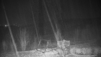 Chata Myslivna SKP Olomouc