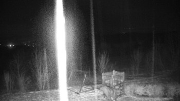 Chata Myslivna SKP Olomouc