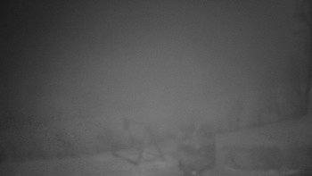 Chata Myslivna SKP Olomouc