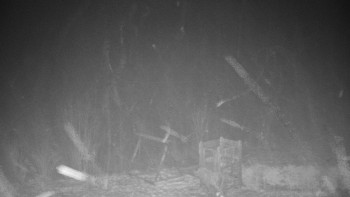 Chata Myslivna SKP Olomouc