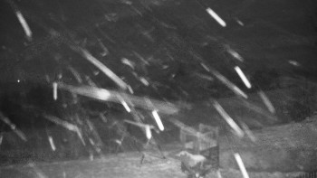 Chata Myslivna SKP Olomouc