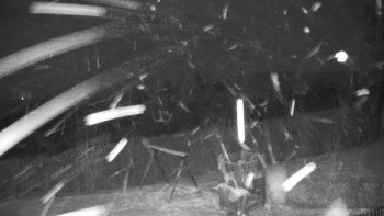 Chata Myslivna SKP Olomouc