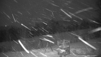 Chata Myslivna SKP Olomouc