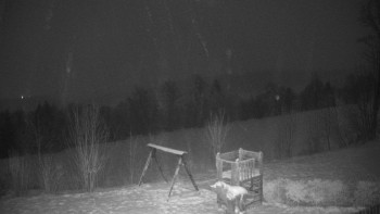 Chata Myslivna SKP Olomouc