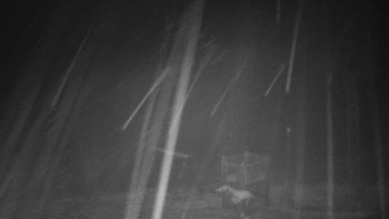 Chata Myslivna SKP Olomouc