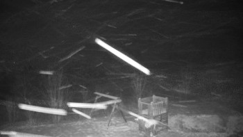 Chata Myslivna SKP Olomouc