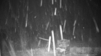 Chata Myslivna SKP Olomouc