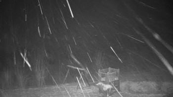 Chata Myslivna SKP Olomouc