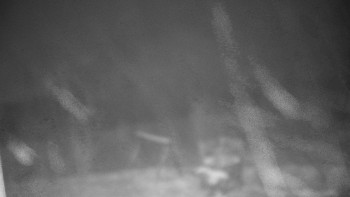 Chata Myslivna SKP Olomouc