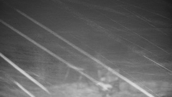 Chata Myslivna SKP Olomouc