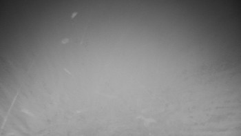 Chata Myslivna SKP Olomouc