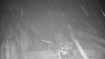 Chata Myslivna SKP Olomouc