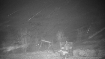 Chata Myslivna SKP Olomouc