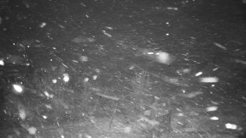 Chata Myslivna SKP Olomouc