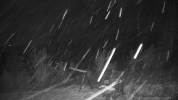 Chata Myslivna SKP Olomouc