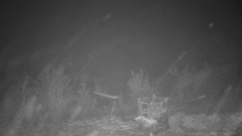 Chata Myslivna SKP Olomouc